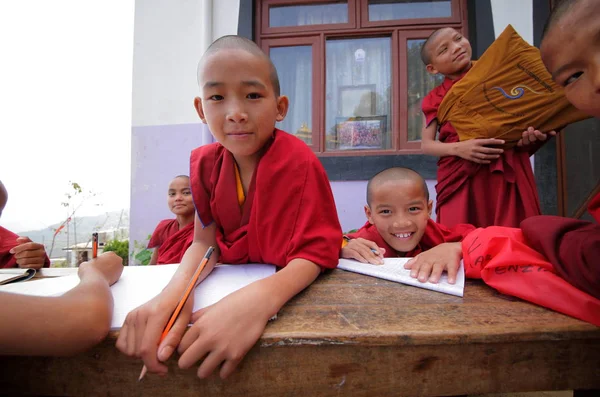Novice monks children studying — Stock Photo, Image
