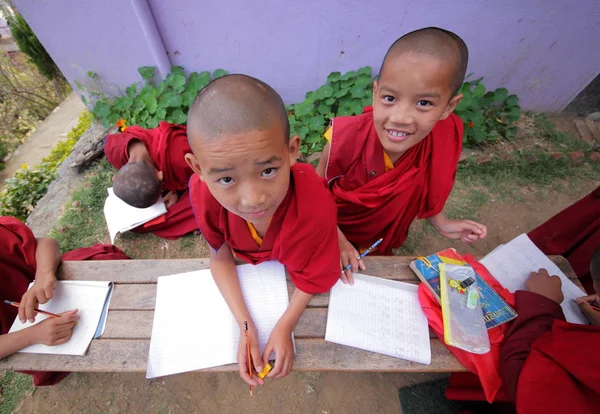 Novice monks children studying — Stock Photo, Image
