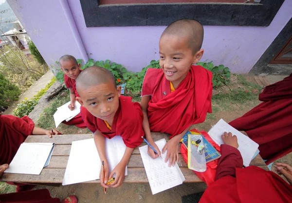 Novice monks children studying — Stock Photo, Image