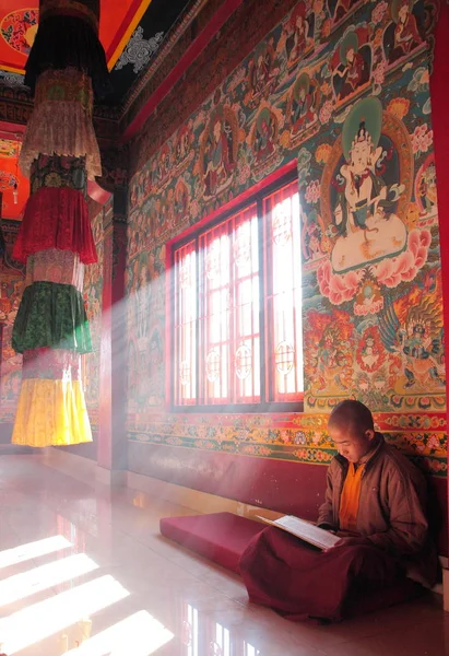 젊은 스님이 앉아 및 읽기 — 스톡 사진