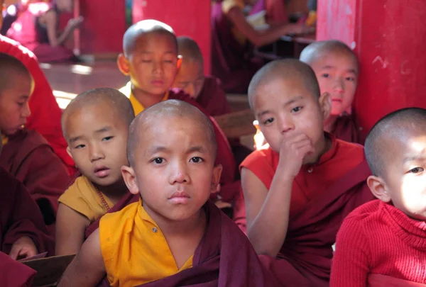 Young novice monks looking at camera — Stock Photo, Image