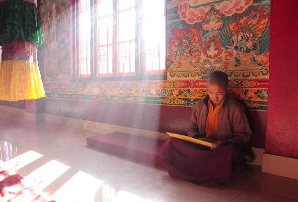 Junger Mönch sitzt und liest — Stockfoto