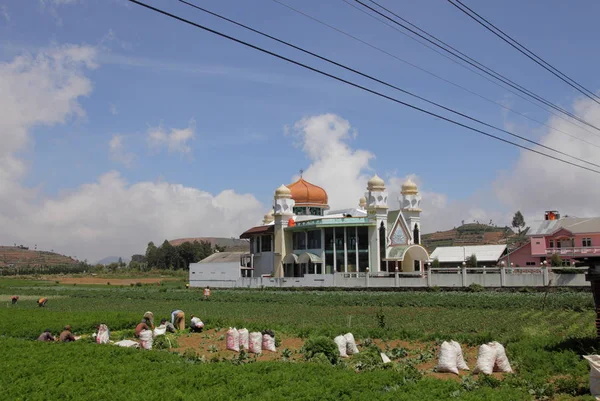 Paisagem da aldeia de Dieng — Fotografia de Stock