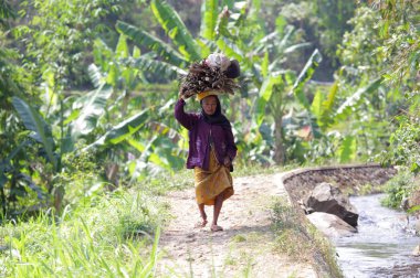 Malang kasabanın kadını