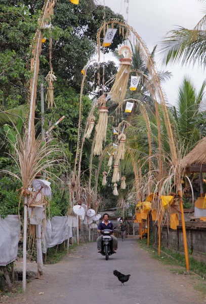 Adam Ubud yeşil park — Stok fotoğraf