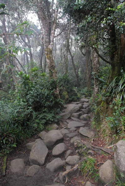 Sentier jusqu'au sommet du Mt. Kinabalu — Photo