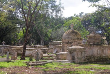 Georgetown harabelerde görünümünü