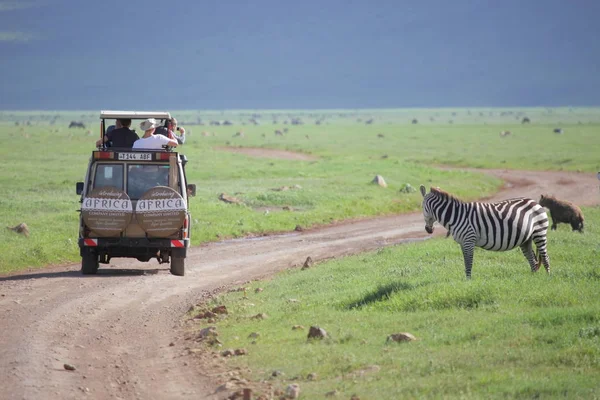 Gente en Ngorongoro Conservación — Foto de Stock