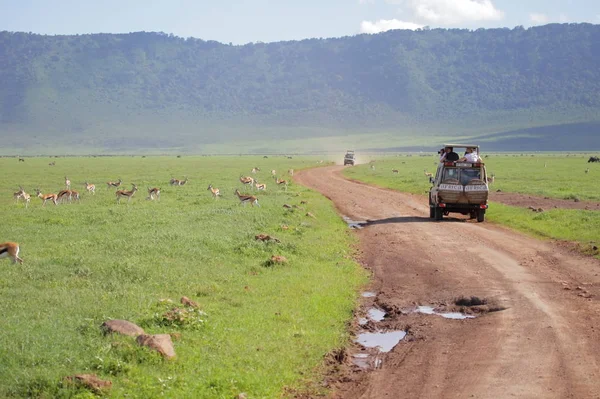 Menschen im Ngorongoro-Naturschutz — Stockfoto
