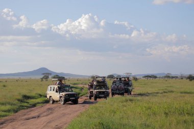 Serengeti Ulaştırma grubu