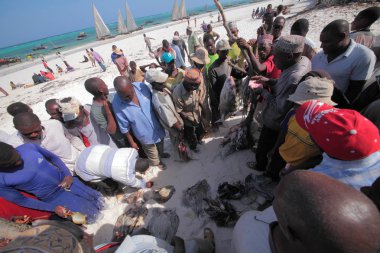 insanlar Zanzibar Adası