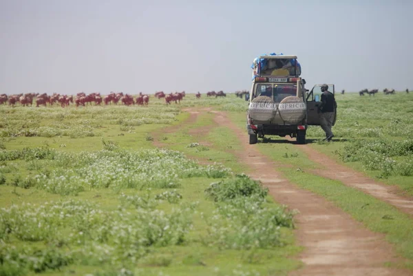 Menschen mit Transport in der Serengeti — Stockfoto