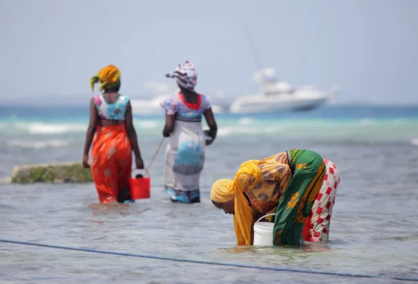 Widok kobiety na Zanzibar — Zdjęcie stockowe
