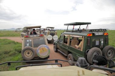 otomobil sürücüsü Serengeti Park 