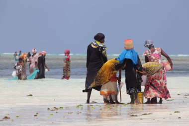 Afrikalı kadınlar sahilde çalışma