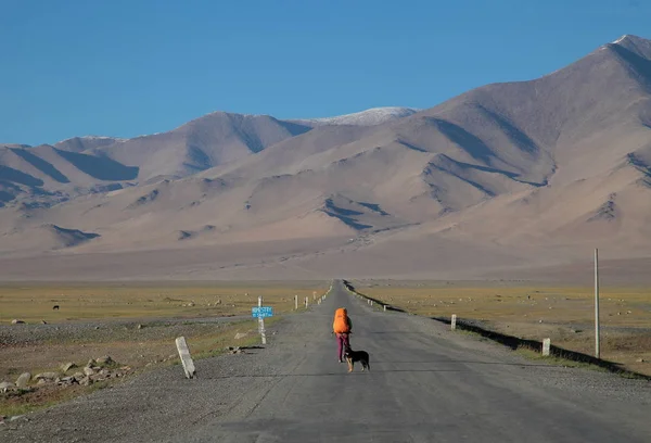 Menina com cão na estrada — Fotografia de Stock