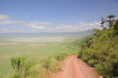 Afrika savana manzara