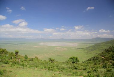 Afrika savana manzara