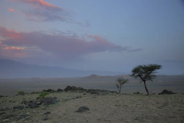 Namib dessert durante il tramonto — Foto Stock