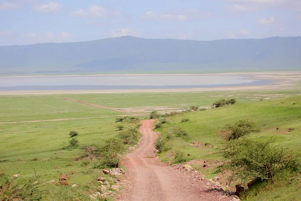 Landschaft in der afrikanischen Savanne — Stockfoto