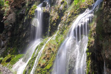 Şelale Milli Parkı, Tanzanya