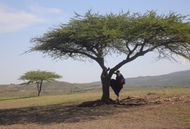 Afrika savana manzara