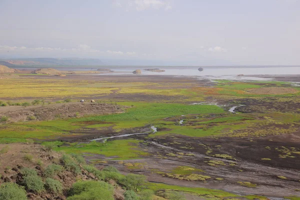 Safari Paisaje Tanzania África — Foto de Stock