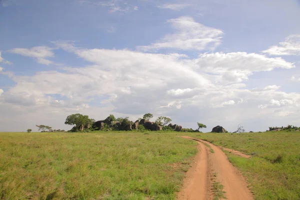 尘土飞扬的道路，在非洲大草原 — 图库照片