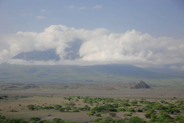 Landschaftssafari Tansania Afrika — Stockfoto