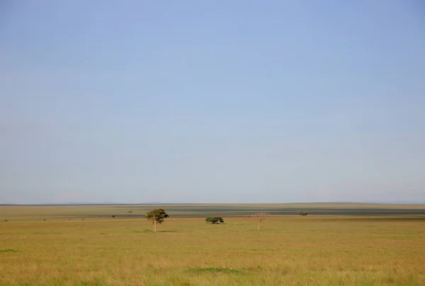 Paisagem em savana africana — Fotografia de Stock