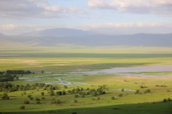 Landschaft in der afrikanischen Savanne — Stockfoto
