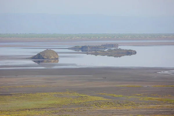 Landscape Safari Tanzania Africa — Stock Photo, Image