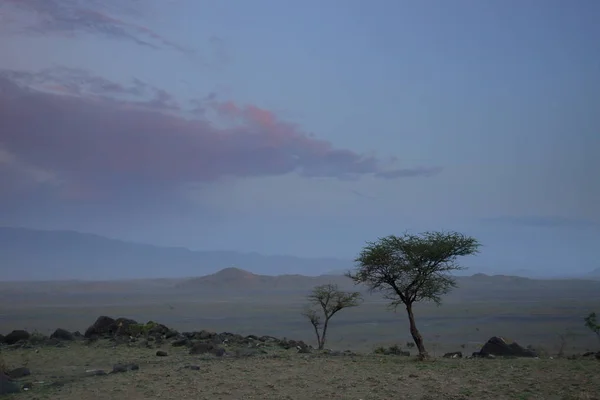 Gün batımı sırasında Namib tatlı — Stok fotoğraf