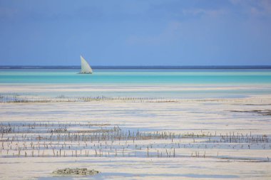 plaj Zanzibar Adası üzerinde tekne