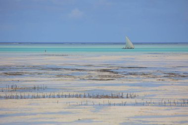 plaj Zanzibar Adası üzerinde tekne