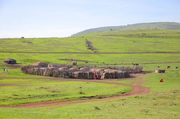 Dorf Des Massai Stammes Ngorongoro Schutzgebiet Tansaniya — Stockfoto