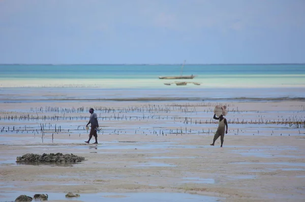 Mensen op het eiland strand Zanzibar — Stockfoto