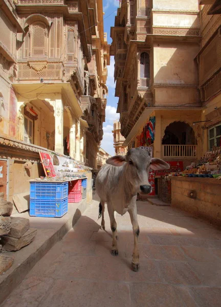 Gammal Town Palace inuti Jaisalmer Fort — Stockfoto