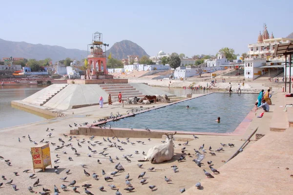 Pushkar lago sagrado — Fotografia de Stock