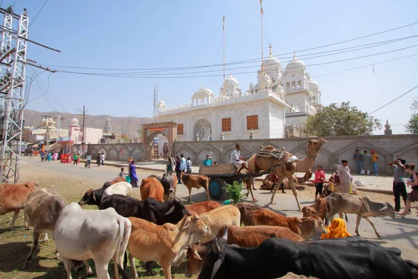 Sitio de peregrinación hindú, Rajastán — Foto de Stock
