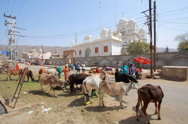 Sitio de peregrinación hindú, Rajastán — Foto de Stock