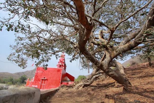 புஷ்கரில் உள்ள பிரம்மா கோயில் — ஸ்டாக் புகைப்படம்