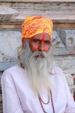 Hintli Udaipur sakallı