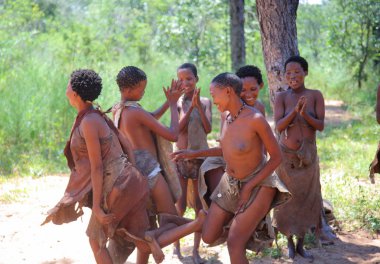 Grashoek - köy Bushmen kabilesi