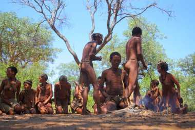 Grashoek - köy Bushmen kabilesi