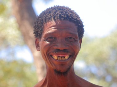 San Bushmen yürüyüş kalahari Çölü'nde 