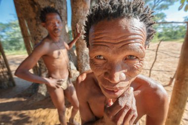 San Bushmen yürüyüş kalahari Çölü'nde 