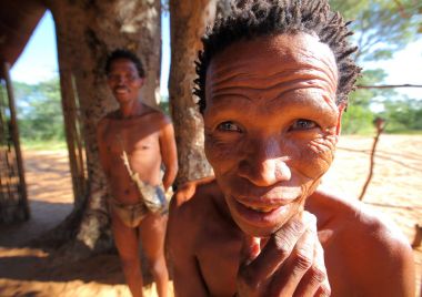 San Bushmen yürüyüş kalahari Çölü'nde 