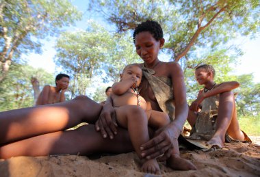 San bushmen kalahari Çölü'nde 