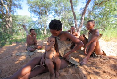 San bushmen kalahari Çölü'nde 